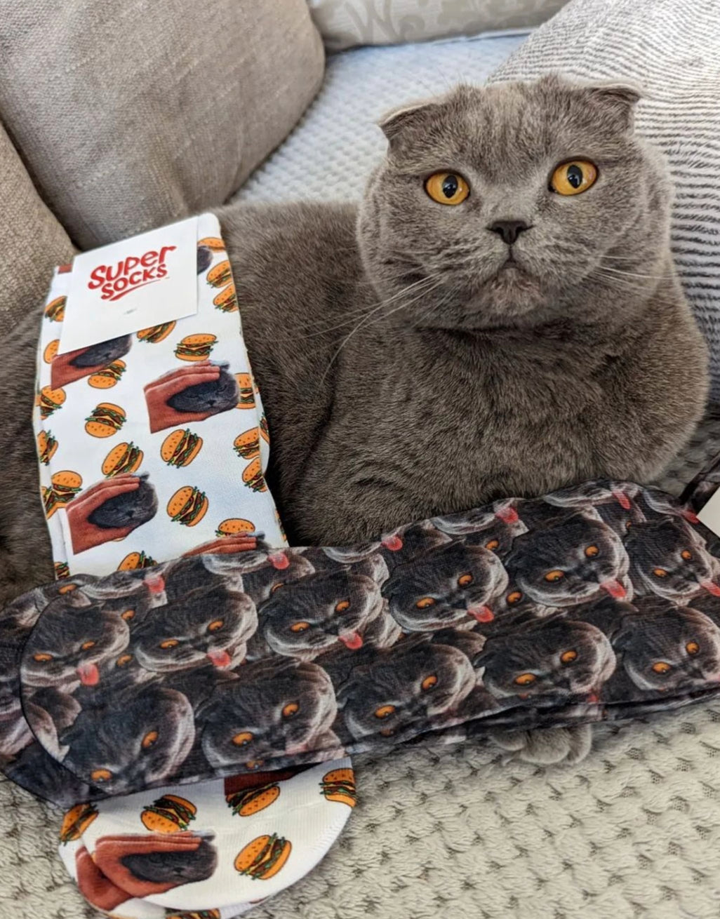 Cat Mash Socks