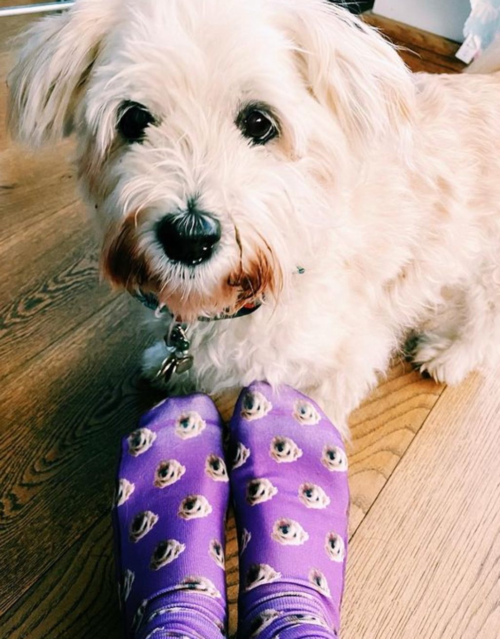 Your Dog Pattern Socks