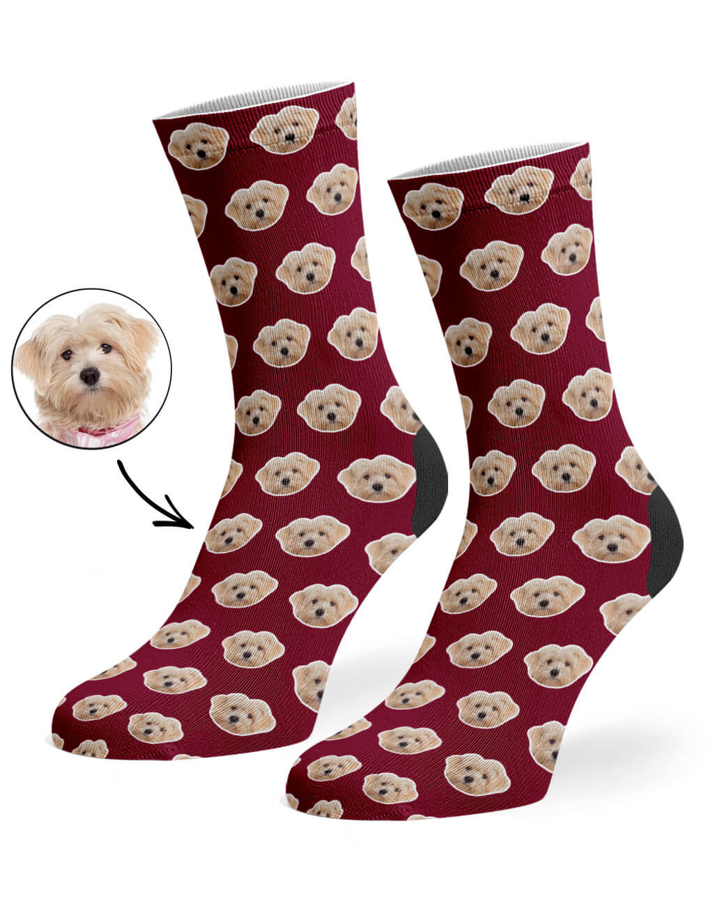 My Dog Pattern Burgundy Socks