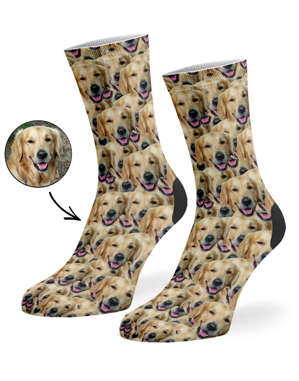 Dog Mash Socks