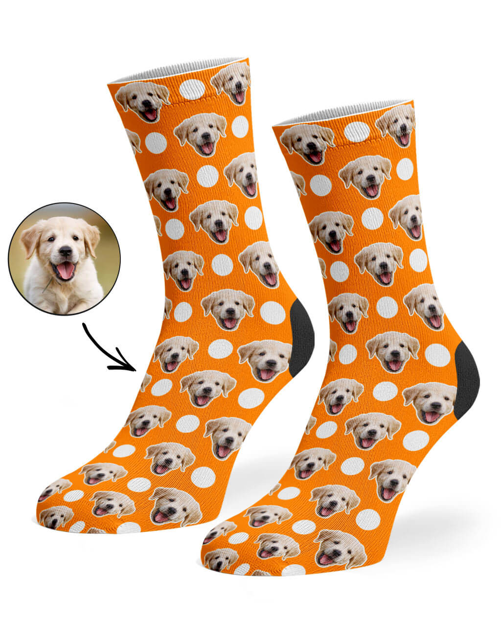 Polka Dog Socks