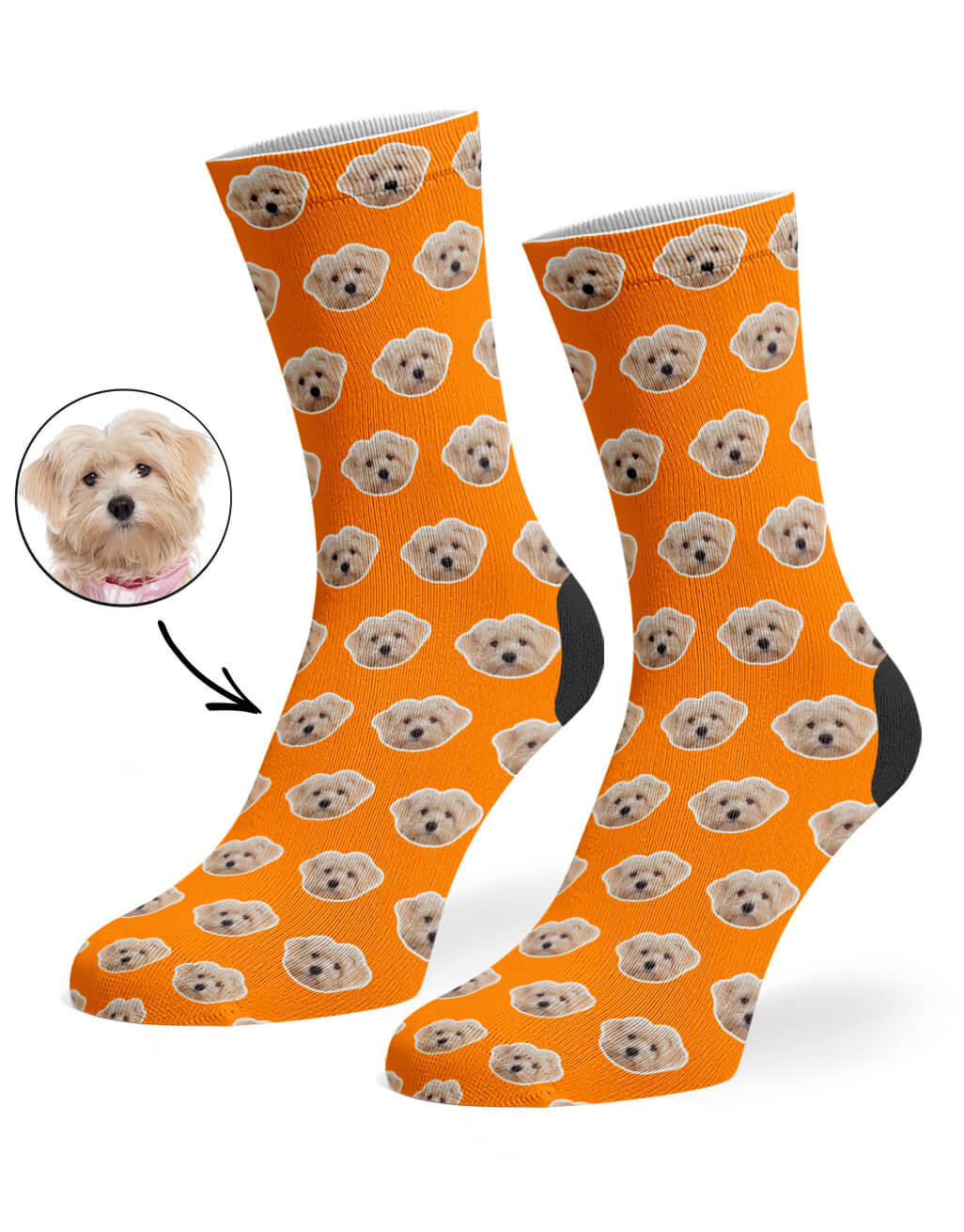 My Dog Pattern Orange Socks