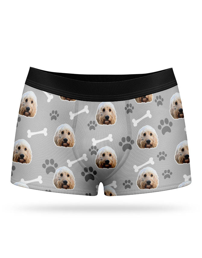 My Dog on Boxers